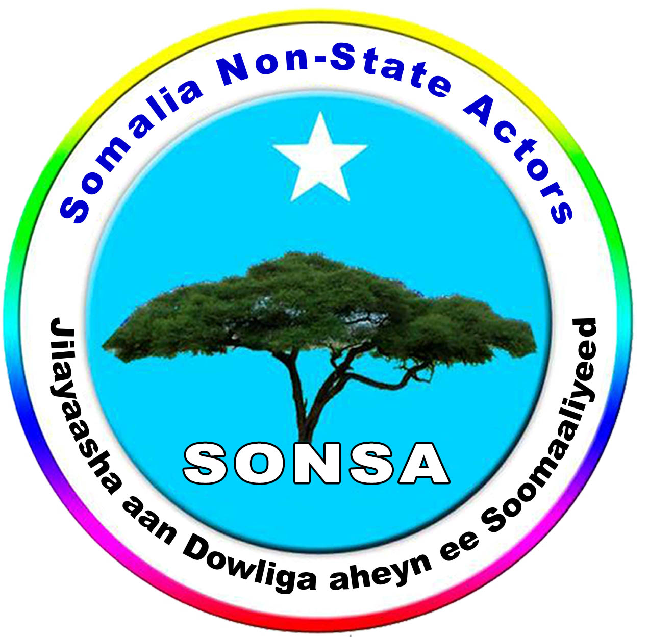 SONSA-LOGO
